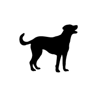 American Leopard Hound