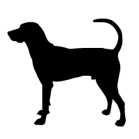 Black and Tan Coonhound