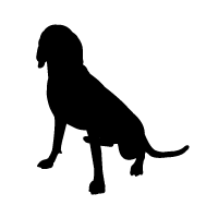 Grand Bleu de Gascogne