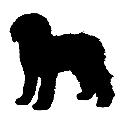 Old English Sheepdog