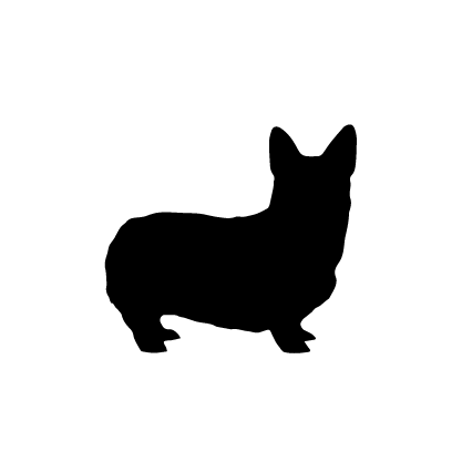 Pembroke Welsh Corgi