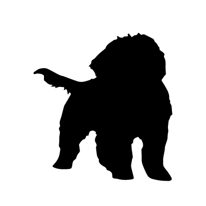 Polish Lowland Sheepdog