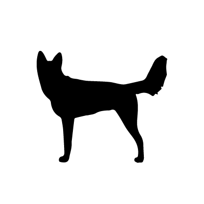 Seppala Siberian Sleddog